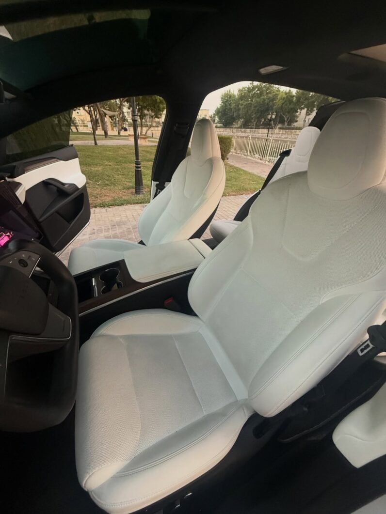 2023 Tesla model X D100