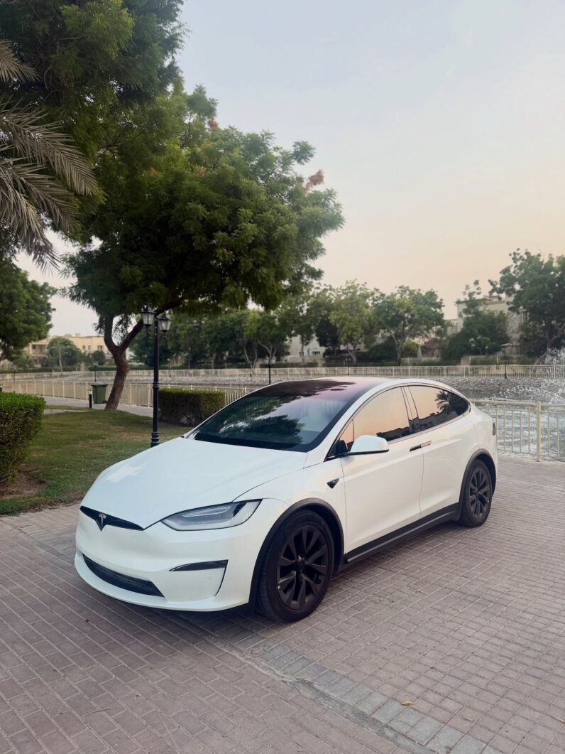 2023 Tesla model X D100