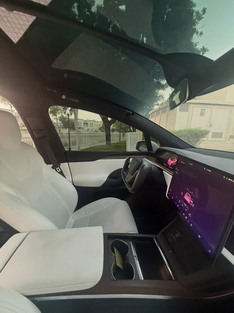 2023 Tesla model X D100