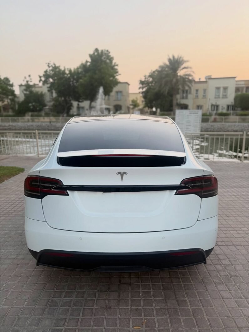 2023 Tesla model X D100