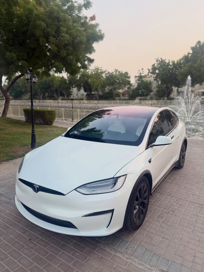 2023 Tesla model X D100