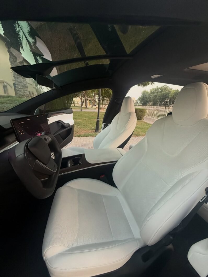 2023 Tesla model X D100