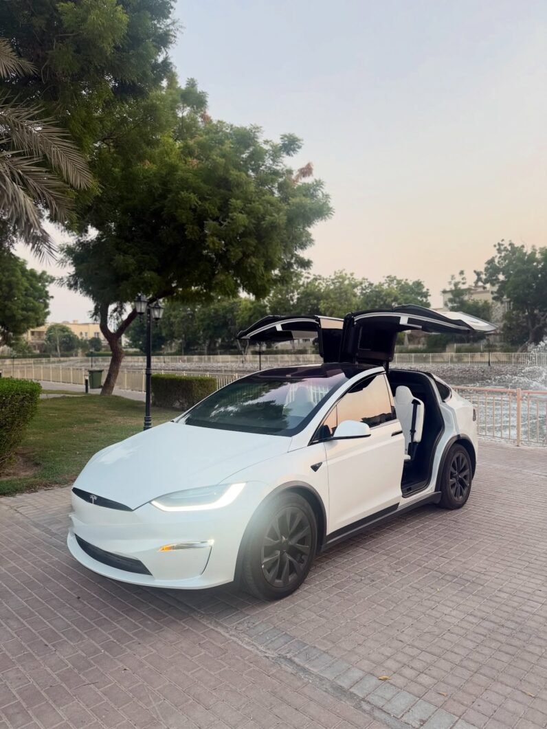 2023 Tesla model X D100