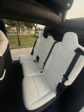 2023 Tesla model X D100