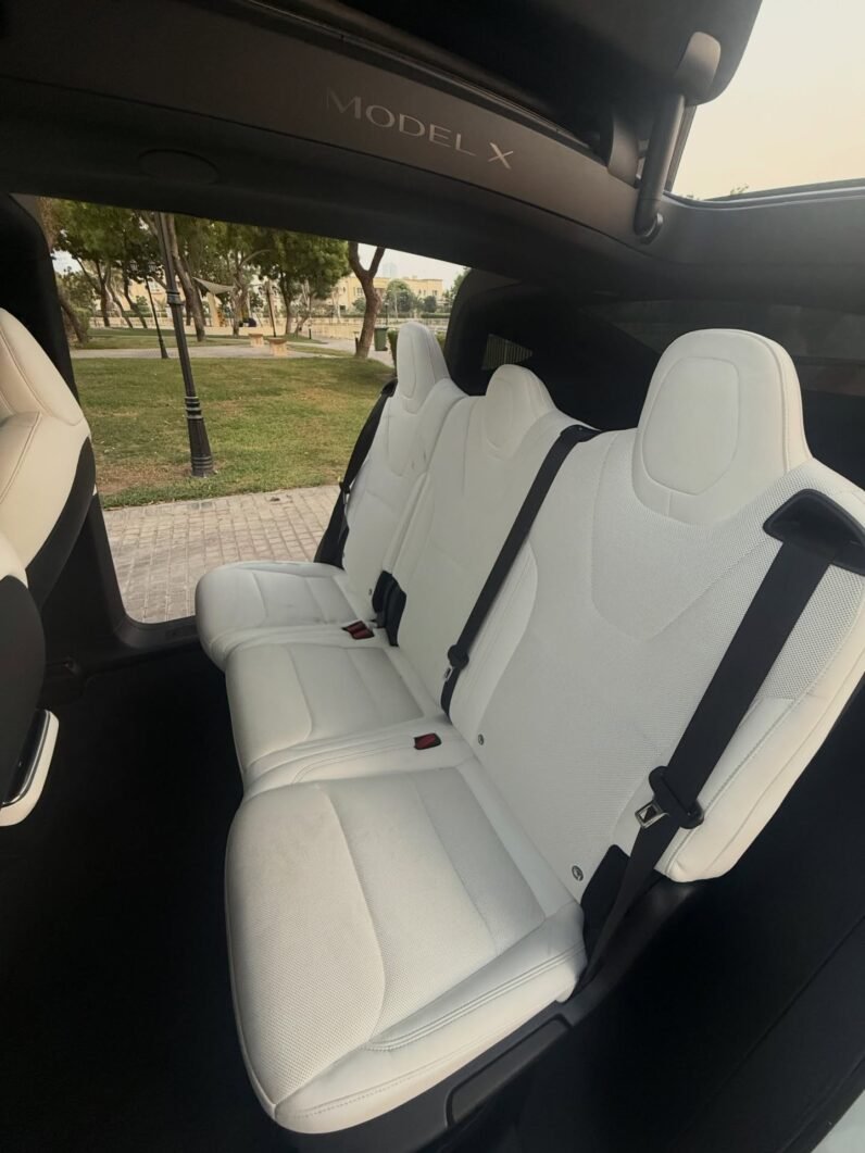 2023 Tesla model X D100