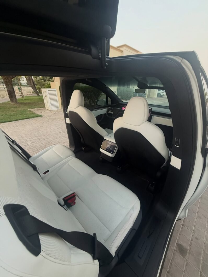 2023 Tesla model X D100