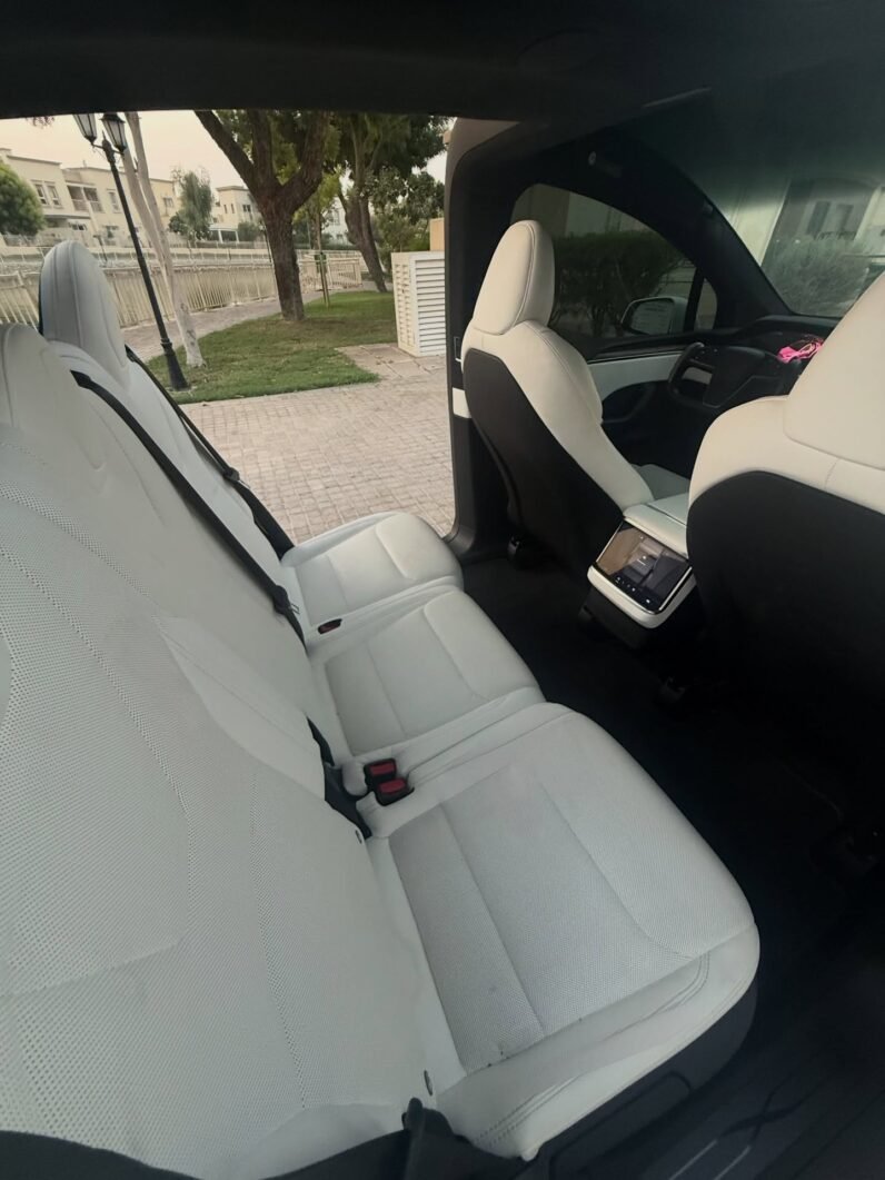 2023 Tesla model X D100