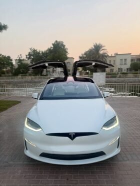 2023 Tesla model X D100