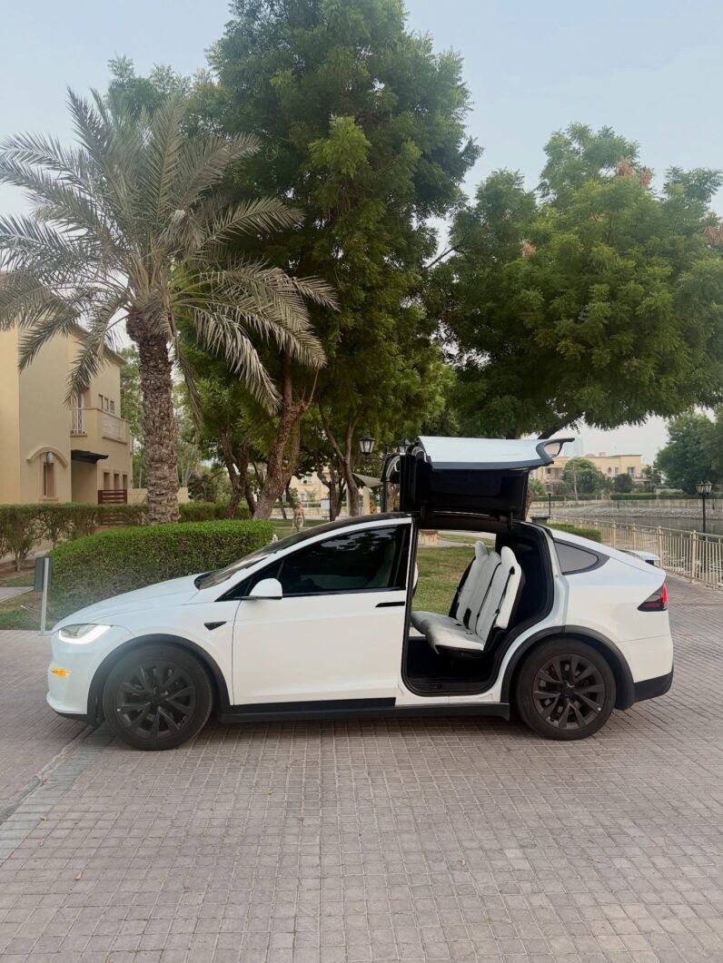 2023 Tesla model X D100