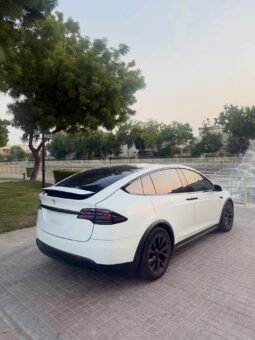 2023 Tesla model X D100